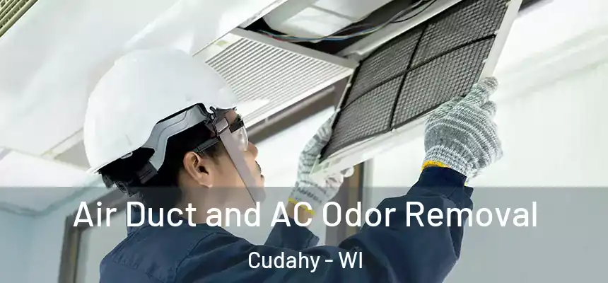 Air Duct and AC Odor Removal Cudahy - WI
