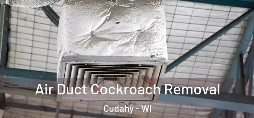  Air Duct Cockroach Removal Cudahy - WI