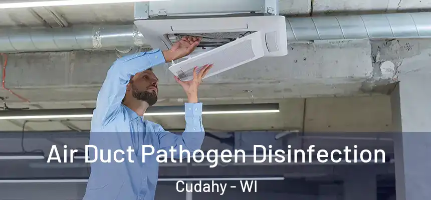  Air Duct Pathogen Disinfection Cudahy - WI