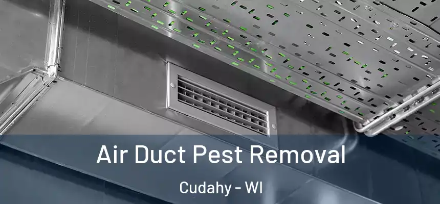  Air Duct Pest Removal Cudahy - WI