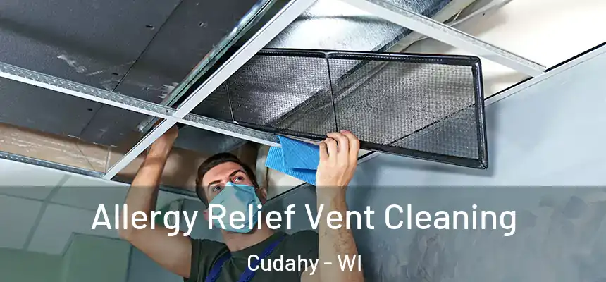  Allergy Relief Vent Cleaning Cudahy - WI