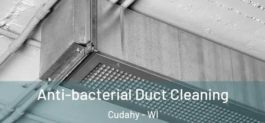 Anti-bacterial Duct Cleaning Cudahy - WI