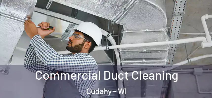  Commercial Duct Cleaning Cudahy - WI