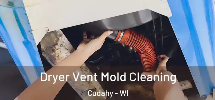  Dryer Vent Mold Cleaning Cudahy - WI