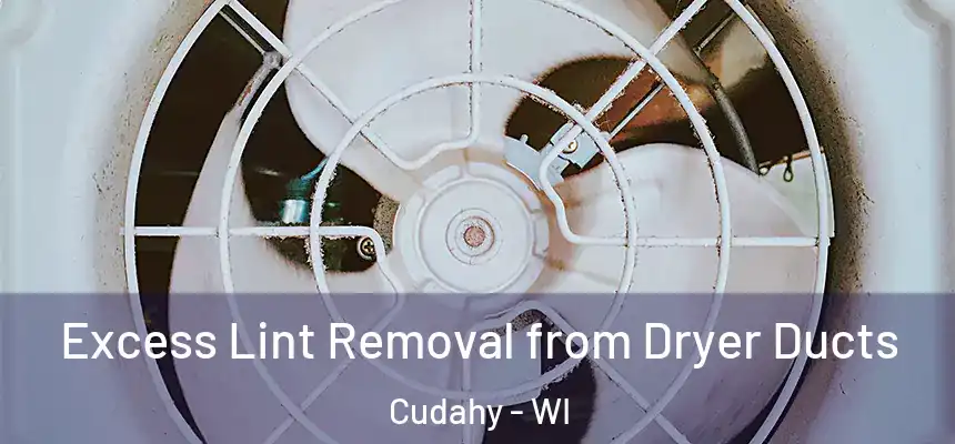  Excess Lint Removal from Dryer Ducts Cudahy - WI