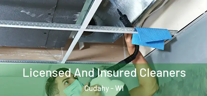  Licensed And Insured Cleaners Cudahy - WI