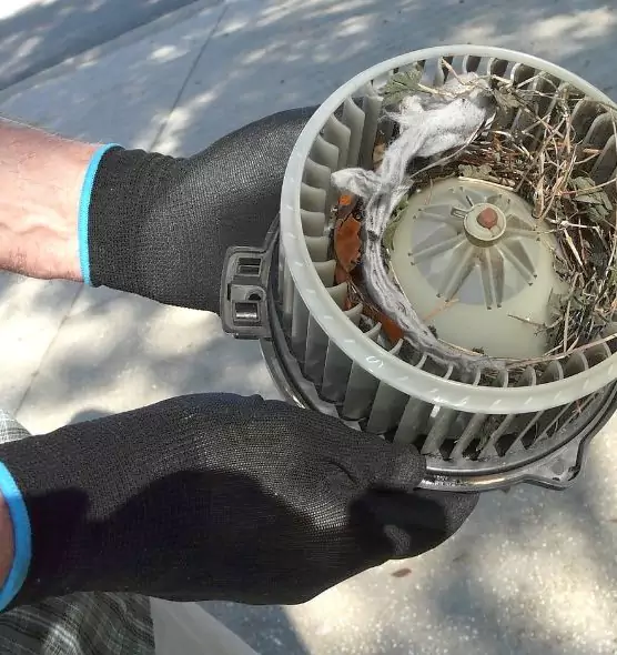 About Air Duct Mice Removal in Cudahy, WI