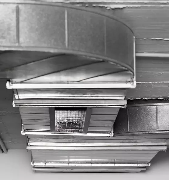 Professional Air Duct Pest Removal in Cudahy, WI