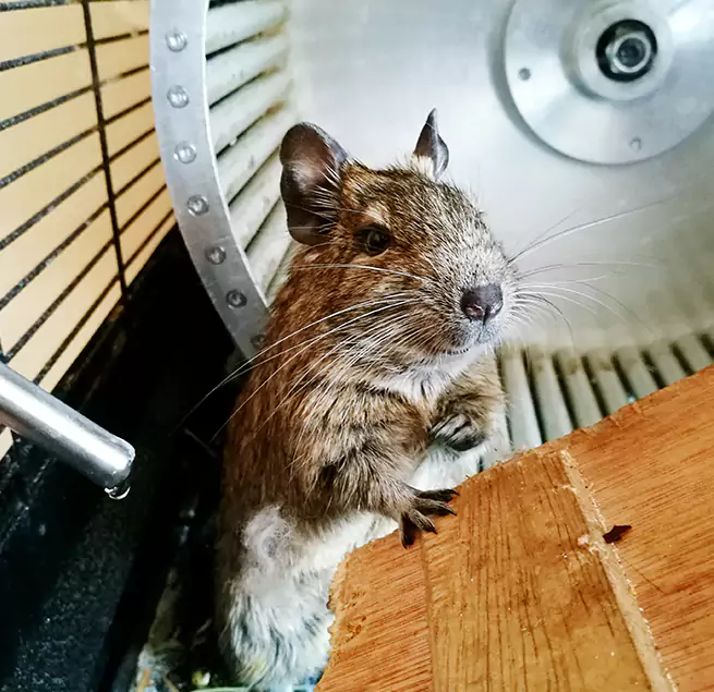 Why Homeowners & Businesses Trust Us Cudahy, WI?