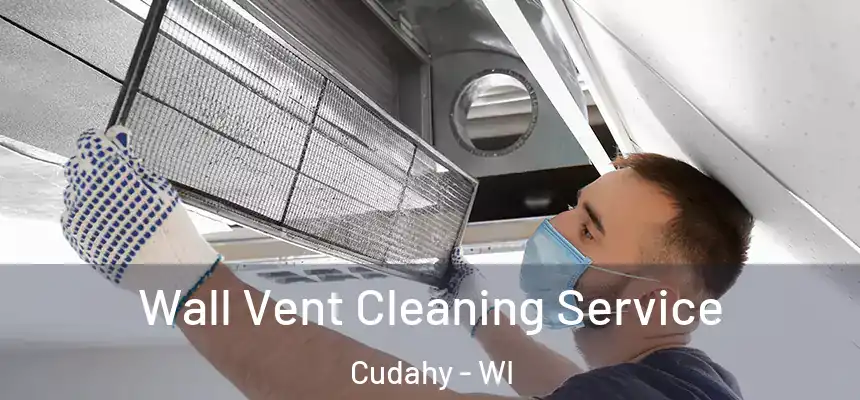  Wall Vent Cleaning Service Cudahy - WI